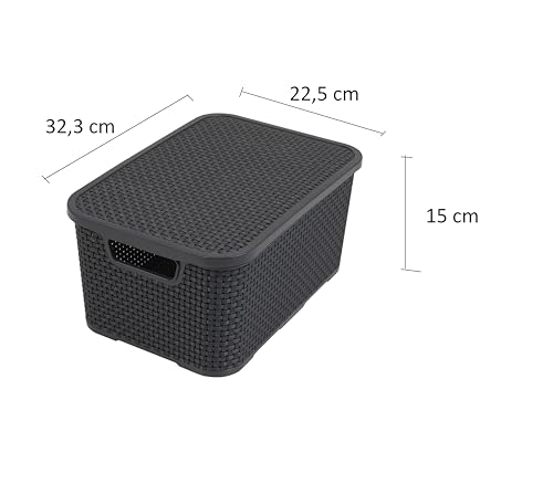 BranQ - Home essential Deckel Korb in Rattan Design 2er Set Grösse M 10l, Kunststoff PP, Anthrazit, 10 l