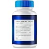 Vitavault (1 Pack) Synogut Digestive Health Support, 60 Capsules - Enhance Your Gut Health & Digestive System with Original Formula