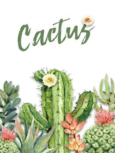Cactus: Mini Personal Internet Address & Password Logbook | Handy Pocket Size with A to Z Alphabetical (Watercolor Pretty Cactus)