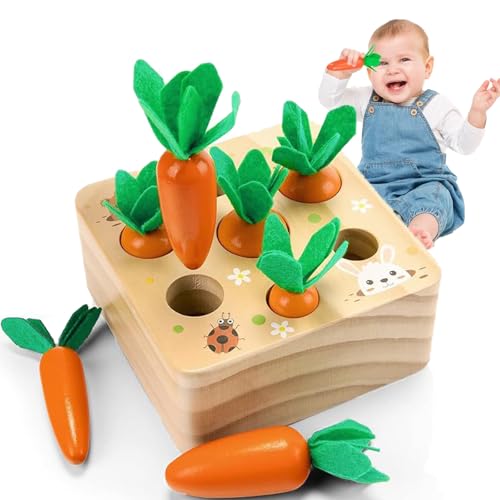 Haoutdory Wooden Montessori Toy for Babies 1 Year,Carrot Sorting ...