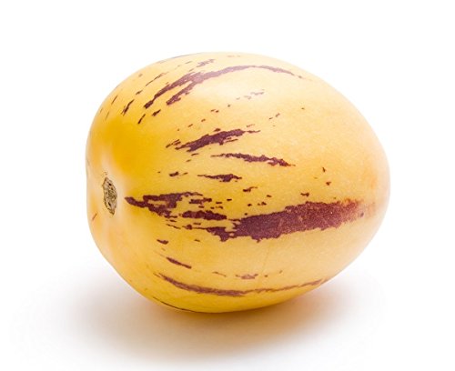 Melon żarówka, żarówka melonowa Pepino - Solanum muricatum