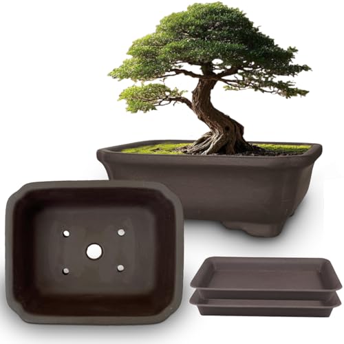 MUZHI 2-Pack Unglazed 6 Inch Bonsai Pots