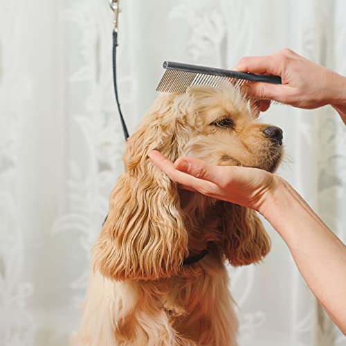 THETAG Edelstahl Hundesalon Kamm für Große, Mittlere und Kleine Hunde und Katzen mit Verworrenen Kurzen/Langen Haaren (19 x 4 cm)