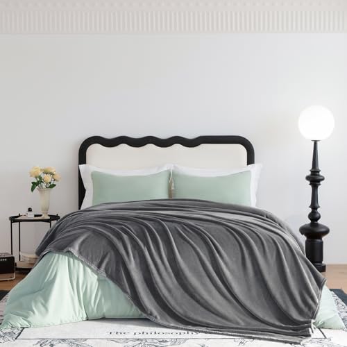 CozyLux Kuscheldecke Flauschig Decke Groß XXL 230x270 cm für 4 Jahreszeiten - Weich/Warm/Leicht Sofadecke Wohndecke Couchdecke für Bett/Sofa/Couch, Flanell Fleecedecke 270x230 cm Grau