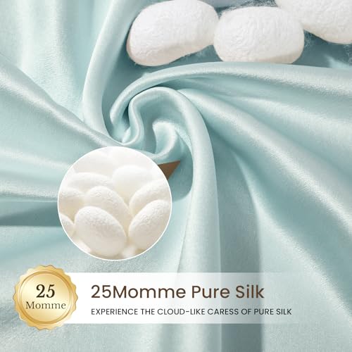 Image of THXSILK Natural 100% Mulberry Silk Pillowcase for Hair and Skin, 25 Momme, Standard Size 20 inchx26 inch Silk Pillow Case, Soft Smooth Cooling Premium Grade 6A+ Silk Pillow Cover with Zipper(Light Blue, 1pc)