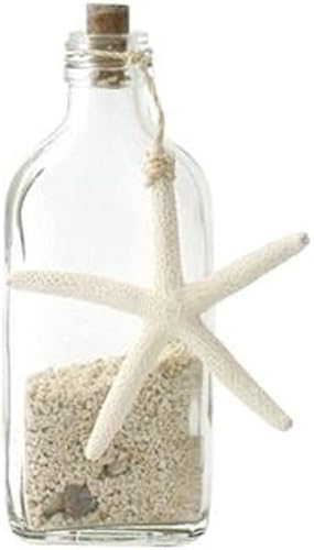 nCA G CeA IuWF X[VF{g nCAG 킢 (i`)