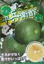 宮崎県産 へべす 3キロ 楽天市場】宮崎県 へべす（フルーツ・果物｜食品）の通販