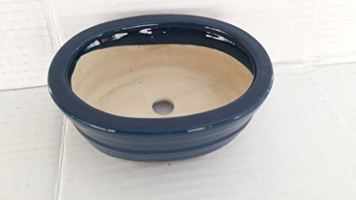 Oval Blue Ceramic Bonsai Pot - Japanese Houtoku Brand - 5'' L / 4'' W / 2'' H #TOP1