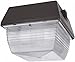 RAB Lighting VAN3HH50QT/PC HID Vandalproof Vandal Proof Ceiling