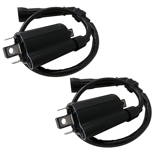 2 IGNITION COILS FOR SUZUKI INTRUDER 800 VS800GL 1992-2004