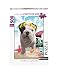 Nathan- Puzzle 500 pièces-Téo California Adulte, 4005556872398