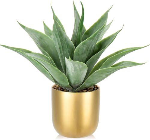 Villa Como tFCNO[ CeAO[ AKx lH ϗtA A  A ^ GAvc NX}X ItBX X    (1, 33CM)