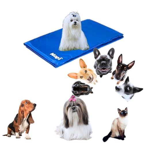 Tapete Gelado Pet 40x50 Conforto Térmico a Cães e Gatos em Dias Quentes