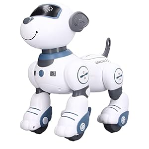Afstandsbediening Robot Hond, Dansen RC Robotic Hond Slimme Decoratie Volume Verstelbaar voor Kinderen voor Thuis voor Feestdagen