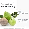 Designs for Health Colon Rx - Magnesium Hydroxide + Triphala to Support Bowel Motility in Those with Occasional Constipation - Non-GMO Herbal Supplement (60 Capsules)