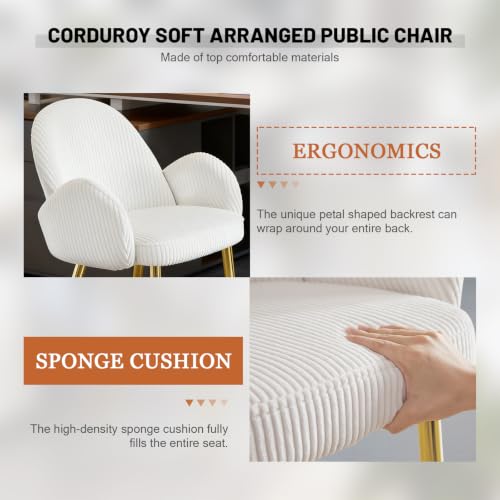 Image of Eifizek Petal Makeup Vanity Chair with Back, Cute Flower Office Desk Chair Comfy No Wheels for Girls /Women, Corduroy Upholstered Chair with Gold Metal Legs for Living Room, Bedroom, Home Office, Cream
