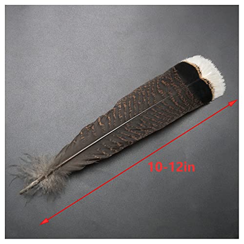 ZZHXSM Truthahn-Federn, natürliche Truthahnfedern, Kleidung, Hüte, Feiertagsdekoration, 25–30 cm, Truthahnfedern, 10 Stück
