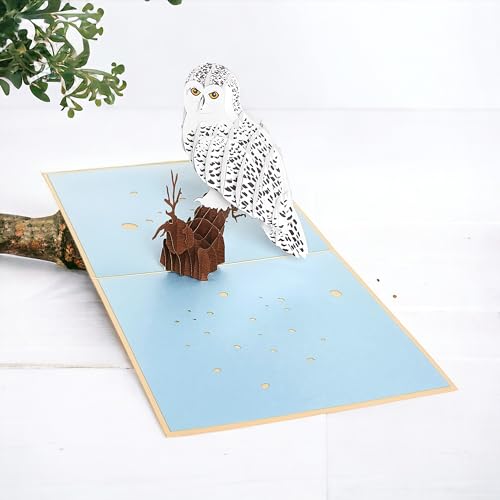 Image of Rykamia Pop Up Owl Card - Blank Envelope, Blank Note, Mother's Day, Thank You
