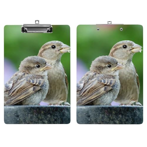 Planchettes à pince A4 oiseaux avec support rigide pour restaurant