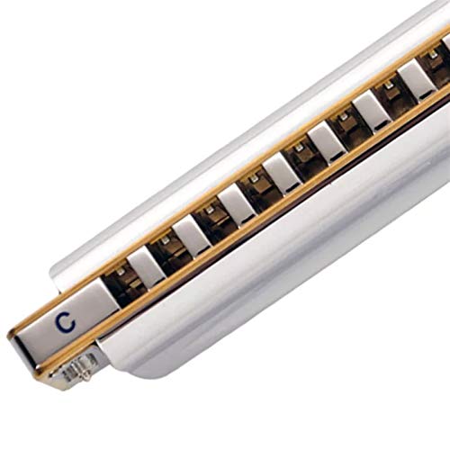 KIRANDIE Harmonica 10 Trous diatoniques Blues Harp Laiton Roseaux Bouche Organ Clé C Métal Peigne Instruments de Musique… - Les Beatles, Paul McCartney, John Lennon, RIngo Starr, George Harrison KIRANDIE Harmonica 10 Trous diatoniques Blues Harp Laiton Roseaux Bouche Organ Clé C Métal Peigne Instruments de Musique… – Image 4