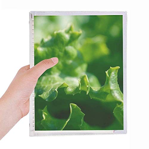 Carnet de photographie à feuilles Tender Leaf rechargeable spirale
