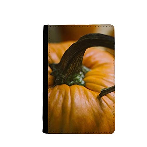 Portefeuille de voyage citrouille pour organiser vos billets et cartes lors de vos vacances