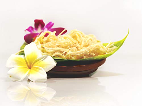 Aloha Right Now Tasty Dried Shredded Cuttlefish | Japanese Asian Hawaiian Style Seafood Squid Jerky Snack | 1 Lb (16oz)