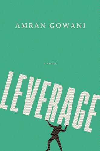 Leverage: A Novel view 2