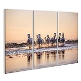 Taille: 130x80cm - 3 Panneaux islandburner Tableau sur toile Chevaux sauvages de Camargue courant de l\'eau ondulante Cadre Affiche Poster Murale Tableaux