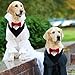 Hunde Smoking Bandana - Formelles Smokinghalstuch Verstellbar für Hochzeit, Haustier Anzug mit Fliege und Krawatte für Katzen, Geburtstag Kostüme