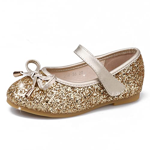 JOEupin Girls Glitter Mary Jane Low Heel Wedding Party Princess Dress Pumps Shoes Shoes for Toddler Kids