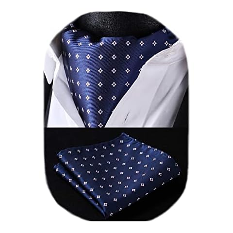 HISDERN Cravate Ascot Élégante Cover