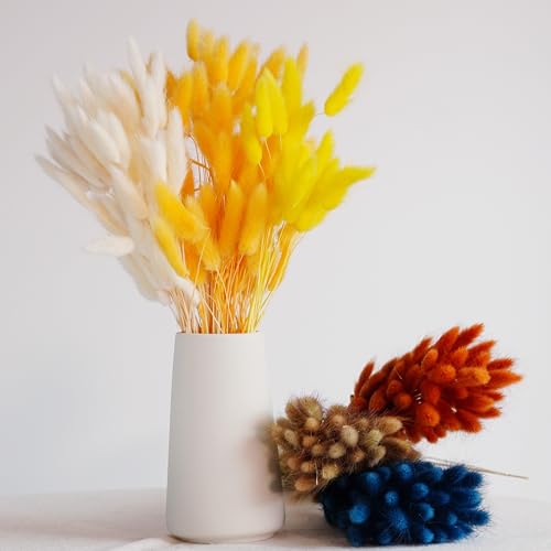 60 piezas de pasto de cola de conejo seco para decoración miniatura 2