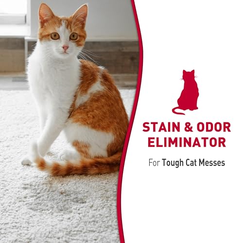 Nature's Miracle Espuma eliminadora de manchas e odores Advanced Cat 500 ml, para sujeira severa de