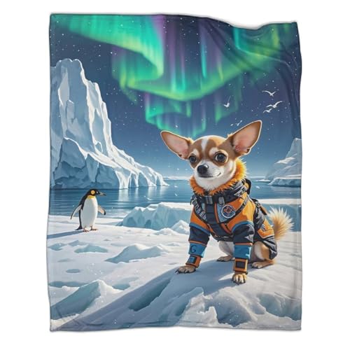 Plaid Chihuahua 3D en microfibres 150x200cm pour canapé et lit - 3