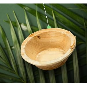 Disposable Palm Leaf Bowl 2.5″, Better than Bamboo Bowls Pack of 25 Eco-Friendly, Compostable & Biodegradable – Elegant Bamboo Look Disposable Bowls, Heavy Duty and Sustainable Choice