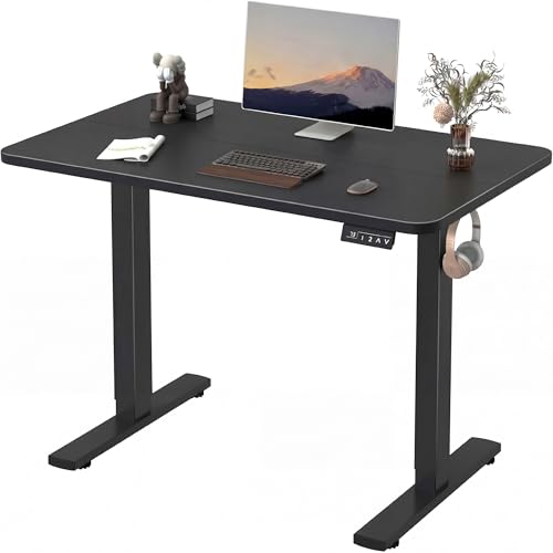 Image of Furmax Electric Height Adjustable Standing Desk Large 48 x 24 Inches Sit Stand up Desk Home Office Computer Desk Memory Preset with T-Shaped Metal Bracket, Black