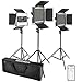 Neewer 3 Kit d’Illuminazione Luce 660 LED Dimmerabile Bicolore 3200-5600K 40W Gestione via APP, CRI Alto, con Diffusore, Barndoor, Borsa di Trasporto per YouTube Video