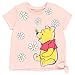Disney Winnie the Pooh Infant Baby Girls T-Shirt and Chambray Shorts Outfit Set Pink/Blue 24 Months