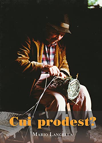  Cui prodest?