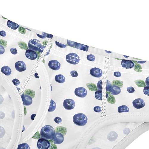 Boys' Exclusive Briefs Toddler Underwear 95% Combed Cotton Boxerbriefs 2T Blueberry Pattern 94