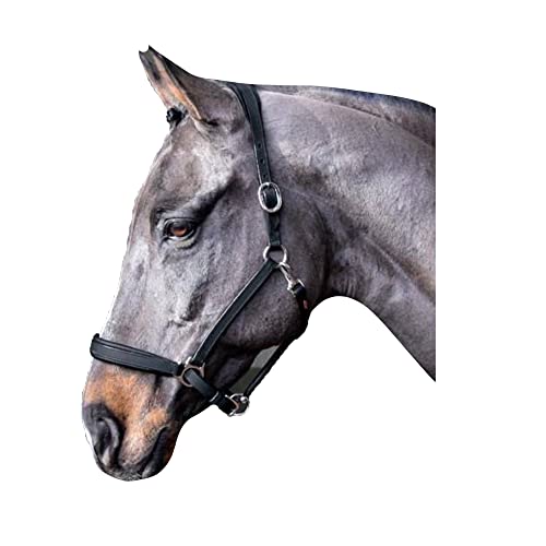 John Whitaker Ready to Ride Head Collar Full Size Black