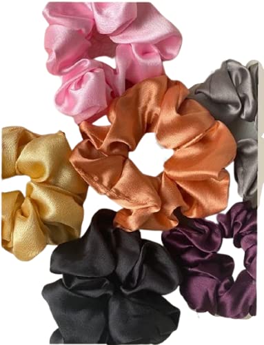 Bhajanlal Greenery Satin Silk Scrunchies For Hair, Made With Soft Satin, Ties Ponytail Or Bun, Hair Friendly, (Pack Of 6 Color, Grey, Black, Baby Pink, Wine, Champagne, Orange) (B0979H2FXM) Amazon Price History, Amazon Price Tracker