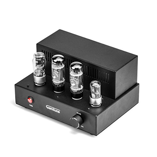 Gemtune-Aiqin Amplificatore a valvole X-1 con 2