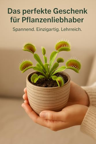20 Premium Venusfliegenfalle Samen – Dionaea muscipula – fleischfressende Pflanze, hochwertige Saat zur Anzucht eines natürlichen Schädlingsfängers für Fliegen, Mücken, Ameisen & Spinnen