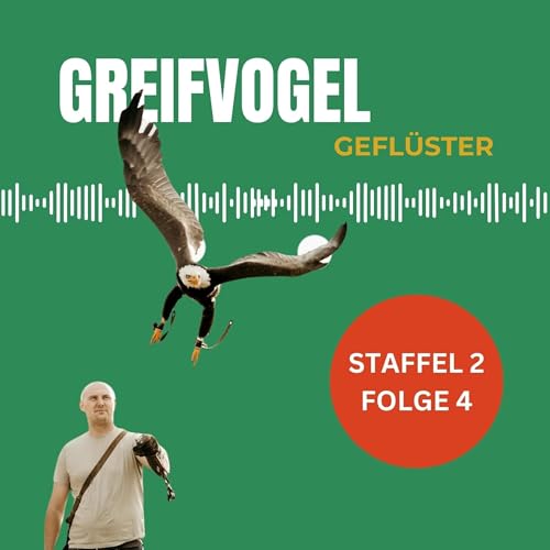 &Ouml;ffentlichkeitsarbeit mit Lukas Feyen - Falkner bei den Karl-May-Festspielen