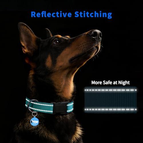 Collar para Perro Pequeño Verde Reflectante con Identificador Inteligente miniatura 5