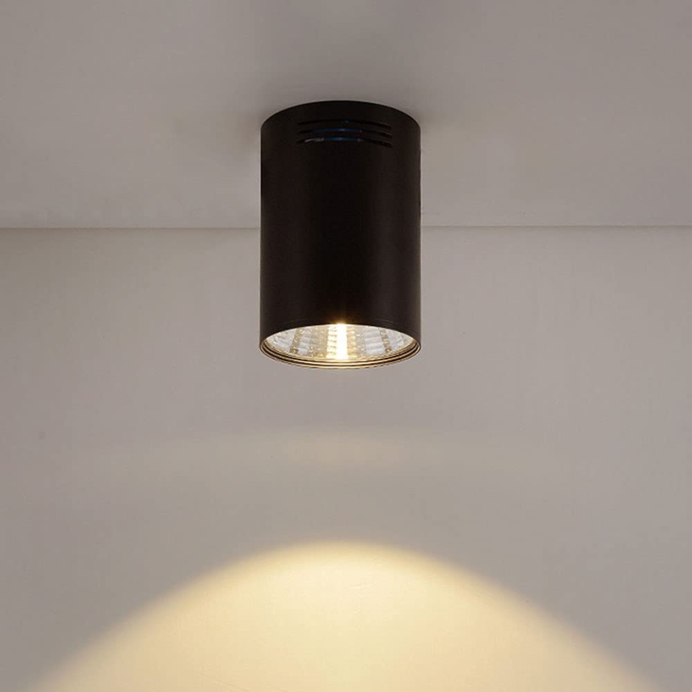 Downlight Plafond Cylindrique Noir Projecteur Alumipour Cuisine Salon 20W