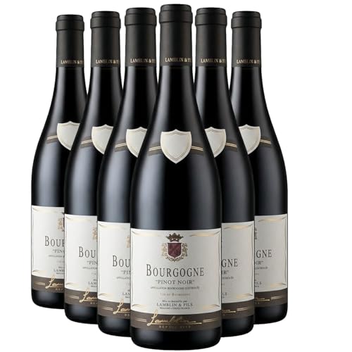 Bourgogne Pinot Noir tinto 2023 - Lamblin fils - DOP - Borgoña - Francia - Variedades de uva Pinot Noir - 6x75cl