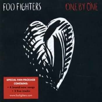 10インチ 2枚 Foo Fighters One By One Nirvana Foo Fighters - One By One - Amazon.com Music